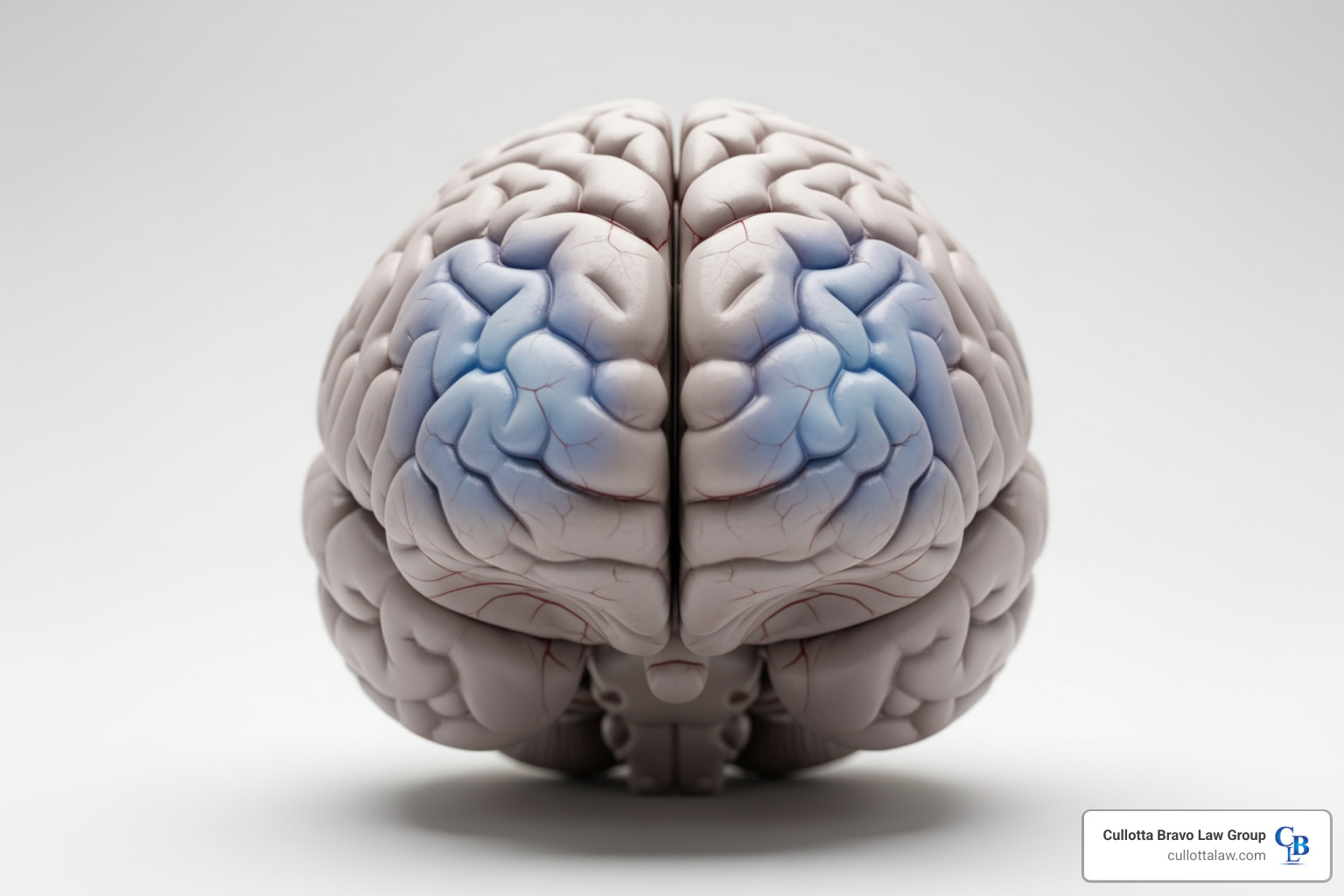 anoxic brain injury lawyer